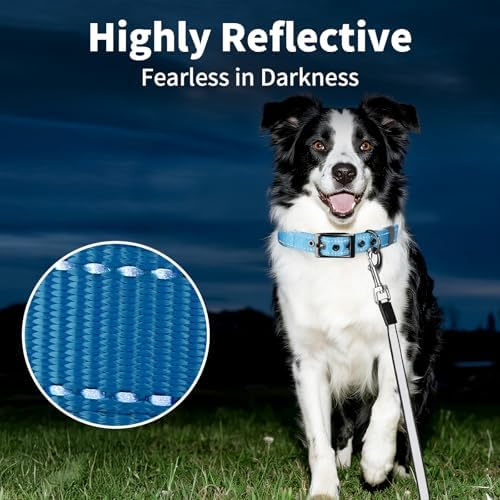 Segarty Reflective Cute Dog Collar for Large Dogs, Adjustable Wide Soft Comfortable Breathable Neoprene Padded Nylon Collar with Heavy Duty Metal Buckle for Large Medium Breeds (L, Light Blue)