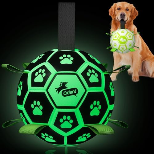 QDAN Premium Glow in The Dark Dog Toys, Dog Ball with Straps, Soccer Ball for Dogs, Outdoor Dog Toys, Pet Birthday Toys, Puppy Essentials for Medium to Large (8Inch)