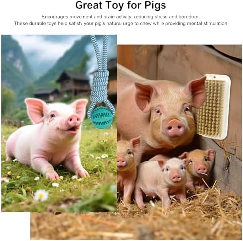 4Pcs Pig Enrichment Toy, Self-Grooming Scratch Brush and Treat Dispenser Ball Toys for Pigs