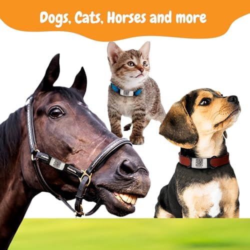 Smart Slide-On QR Code Pet Tag – Silent Dog & Cat ID Tag with Laser Engraving – Stainless Steel & Silicone – No App Needed – Custom Pet Profile – Fits Most Collars (Blue, Extra Large)