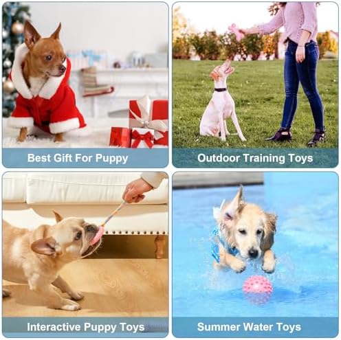 6 Pack Dog Chew Toys for Puppy Cute Dog Toys Puppy Dog Toys for Teething
