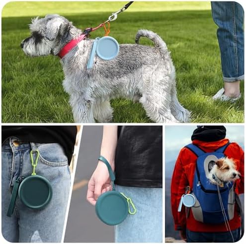 WALLFID Silicone Dog Treat Pouch, 2PCS Pet Walking Bag, Pocket Size, Easy to Clean, Odorless, Zipper Design, Moisture-proof, Portable Training Bag (Lake Blue & Green, 3.55 x 3.55 x 1.18 inches)