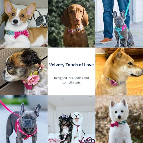 Blueberry Pet Adjustable Flocking Dog Collar for Large Dogs, Pink Girl Dog Collars with Detachable Velvety Bowtie, Heart in Lust Red, Spring Dog Collar for 18-26 Inch Neck