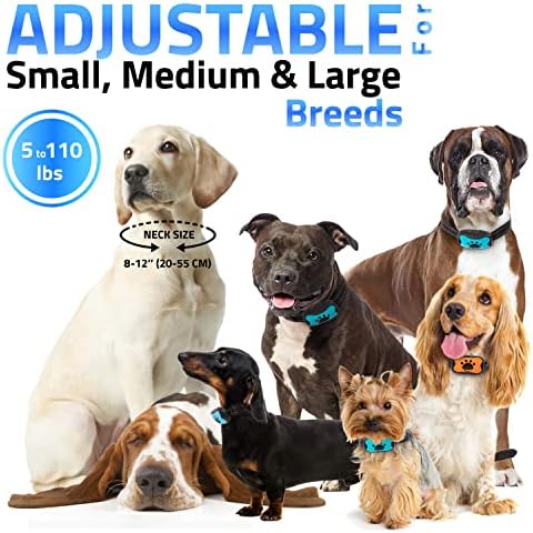 PawPets Rechargeable Anti Bark Collar - No Shock Training Dog Collar - Humane with Vibration and Sound Barking Collar for Small Medium Large Dogs - 2 Pack Blue Orange (Rechargeable)
