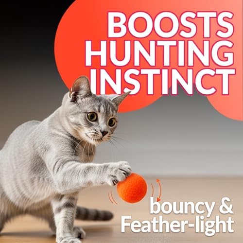 HA SHI [800pcs in Sturdy Jar] Interactive Cat Toy Pom Poms - Small Soft Plush Balls (0.39in-1.2in) for Indoor Kittens, Quiet Night Play, Snuffle & Fetch Toys
