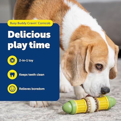 PetSafe Busy Buddy Cravin Corncob Treat Holding Dog Toy, Small/Medium