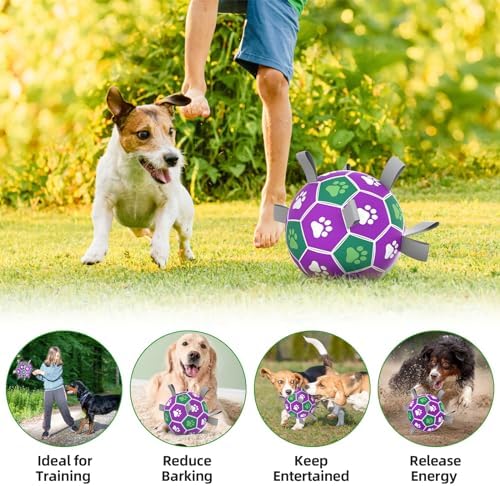 Diman Dog Toy Balls, 6 Inch Soccer Ball for Dogs with Straps
