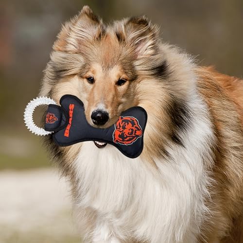 Pets First NFL Chicago Bears Dental Dog TUG Toy with Squeaker. Tough PET Toy for Healthy Fun, Teething, & Cleaning Pet's Teeth & Gum, Team Color