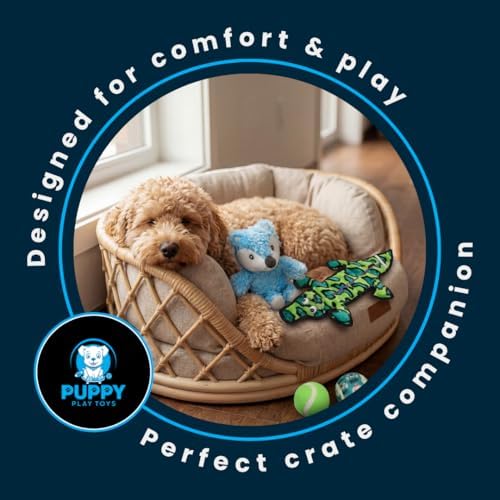 5-Piece Dog Toy Set – Tough Alligator Tug Toy, Plush Hedgehog with Internal Spiky Ball & Tennis Balls – Interactive Toys for Teething, Fetch & Training – Gifts for All Dog Sizes