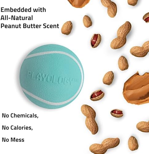 Playology Squeaky Chew Ball Dog Toy - Small, Peanut Butter Scent, 3-Pack
