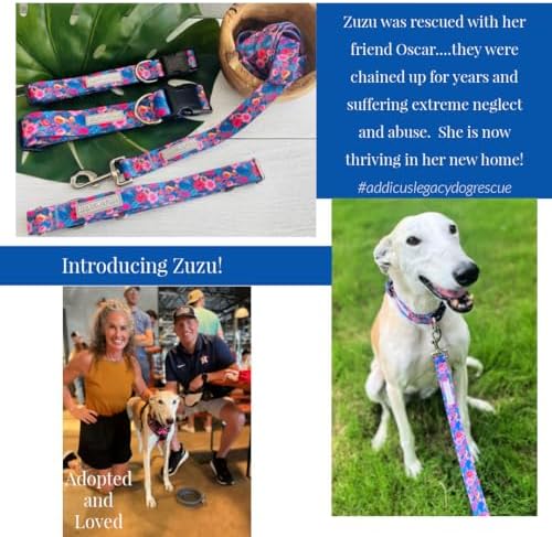Lucky Love Dog Martingale Collar and Leash Set for Large Dogs – Zuzu, Large