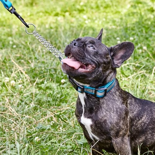 Dogline Reflective Martingale Collar for Dogs with Quick Release Buckle – Biothane Dog Collar with Herm Sprenger Assembly Chain – Waterproof No Pull Dog Collar, L 14”-20”, Cerulean Blue