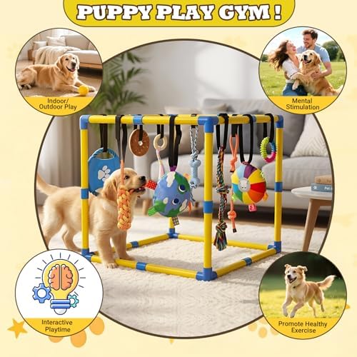Puppy Play Gym with 10 Hanging Toys, 23.6" Removable Small Dogs Indoor Jungle Playground, Interactive Indoor Dog Training Activity Center for Interactive Teething and Mental Stimulation Toy Set