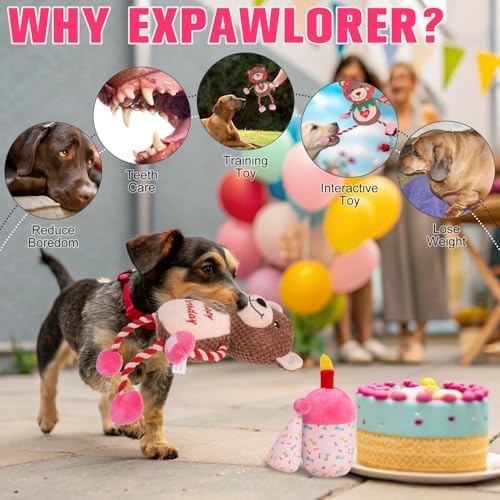 EXPAWLORER Squeaky Dog Birthday Toys - Durable Plush Dog Toy with Crinkle Paper,Chew Toys Soft Fabric for Small, Medium, and Large Dogs to Keep Them Busy,Training Reward, Pink Bear