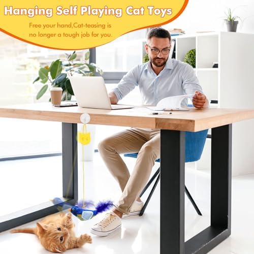 Interactive Cat Toys for Indoor Cats, 3 Pack Hanging Chirping Bird Cat Toy
