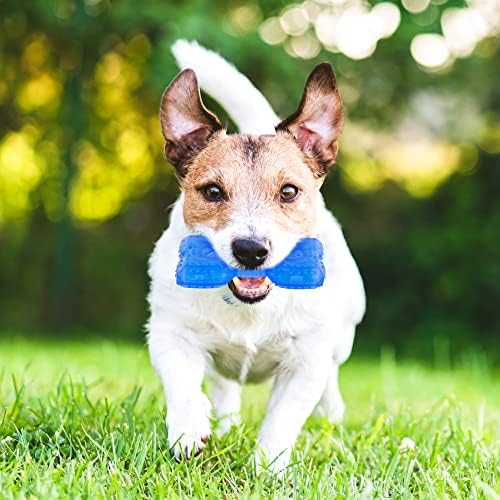 NWK Cooling Chew Toy for Dogs, Puppy Teething Toy (Bone)