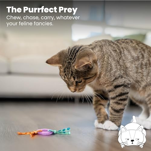 Catstages Kitty Chew Wheel, Dental Cat Toy with Catnip Oil, Teeth Cleaning, Healthy Chewing, Boredom Relief, Kicking & Batting for Kittens and Adult Cats, Purple (Pack of 2)