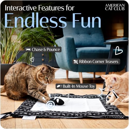 American Cat Club Reversible Crinkle Cat Mat with Mouse Toy, 18" x 13"