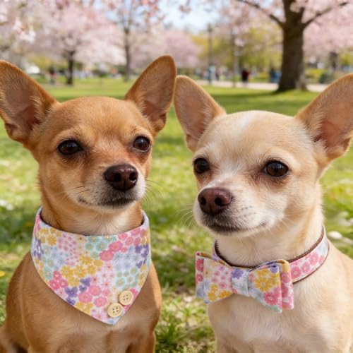 KOOLTAIL Summer Dog Collar and Leash Set with Bowtie and Bells - Cute Fancy Puppy Collar and Leash for Boy or Girl with Flower Pattern, Soft Leather Tangle Free Leashes for Small Dogs,Cats