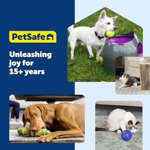 PetSafe Egg-Cersizer Interactive Cat Slow Feeder Toy | Kibble and Treat-Dispensing Cat Toy for Portion Control and Fast Eaters, Improves Digestion, Enrichment Exercise