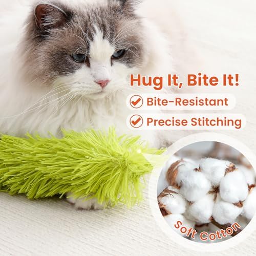 Cat Toys, 3 Pack Crinkle Catnip Pillow Toys for Indoor Cats