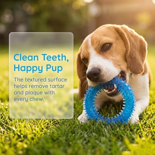 Beiker 20 Pack Puppy Chew Toys, Dog Teething Toys for Puppies Small Dogs | Blue Puppy Teething Rings and Ropes, Rubber Toy Bundle for Puppy Busy, Cute Interactive Pet Balls Bulk for Small Breed