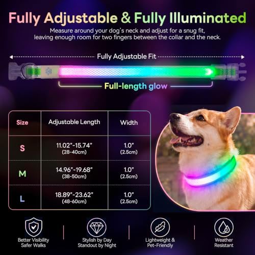 Multicolor LED Dog Collar USB-C Rechargeable, Light Up Dog Collar, Rainbow Gradient Glowing Dog Collar with 4 Light Modes, Adjustable Candy Mesh Pet Collar(Green, Large)