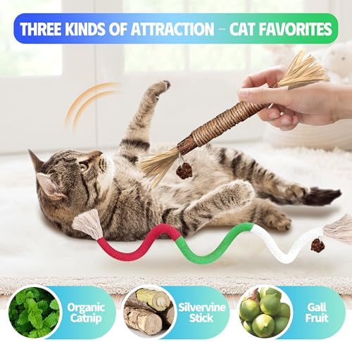 Silvervine Sticks Cat Chew Toys for Indoor Cats Dental Care Teeth Cleaning, Natural Kitten & Cat Teething Toys for Health, Catnip Toys Cat Chew Rope Suitable for All Breeds of Aggressive Chewers Cat