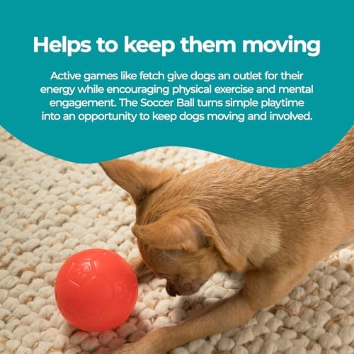 Jolly Pets Mini Soccer Ball Dog Toy, 4 in, Orange - Durable