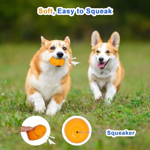 Dog Squeaky Toy, Latex Bouncy Egg Balls Squeaker for Small Dogs, Puppy Durable Rubber Squeak Balls for Teddy Interactive Fetch Play (6 PCS)…