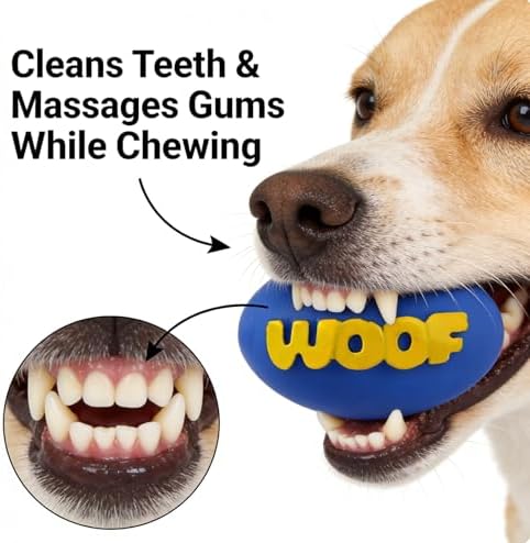 2-Pack Squeaky Rubber Football Dog Toys, Durable Chew & Teething Toy for Small & Medium Dogs, Interactive Fetch & Teeth Cleaning, WOOF Text (Purple, Small)