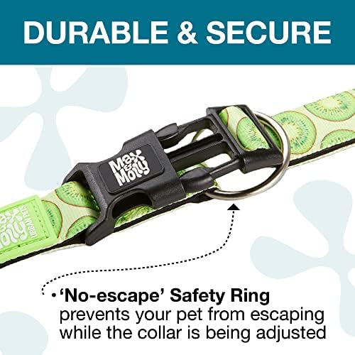 Max & Molly Smart ID Dog Collar with Gotcha! QR Safety Tag and Custom Pet Profile, Soft Padded Neoprene, Waterproof, Kiwi, Medium (13-21")