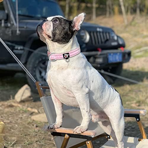azuza Reflective Dog Collar, Neoprene Padded Medium Dog Collar, Pink, M