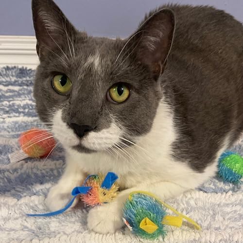 SPOT Stringy Mice & Balls - Catnip Cat Toys, Interactive, Colorful Plush Toys, Fun for Cats and Kittens to Bat and Chase, Boredom Buster - 2 Mice, 2 Balls (Pack of 2)