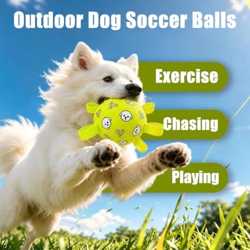 Dog Soccer Ball with Straps, 6 Inch Jolly Ball for Medium Dogs