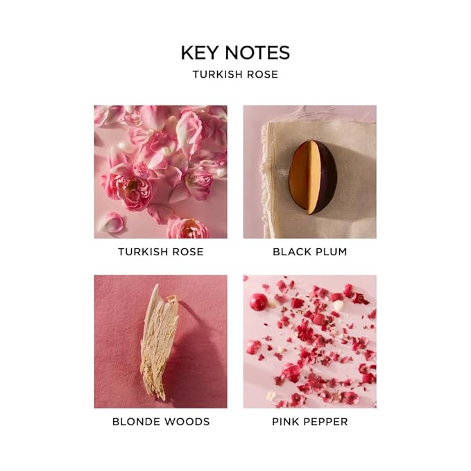 NEST New York Perfume Oil Discovery Set - Includes Balinese Coconut, Turkish Rose, Seville Orange, Indian Jasmine & Madagascar Vanilla - Vegan & Cruelty Free