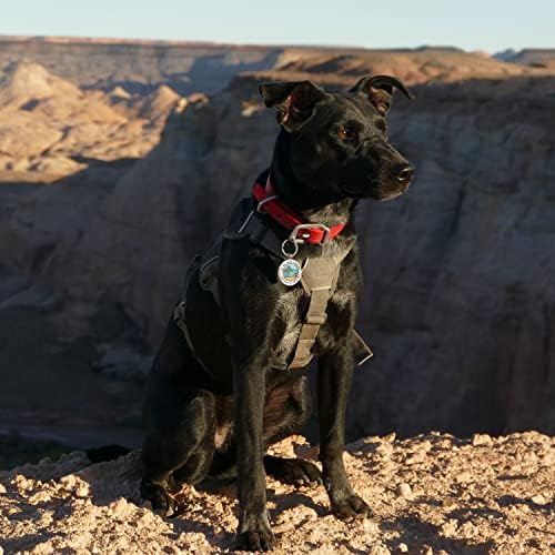 QR Code Dog Tag,Pet ID Tags, Dog Tags Personalized for Pets,Smart Dog ID Tags,Custom Dog Tags-Free Online&Scan QR Receive Instant Location Alert Email