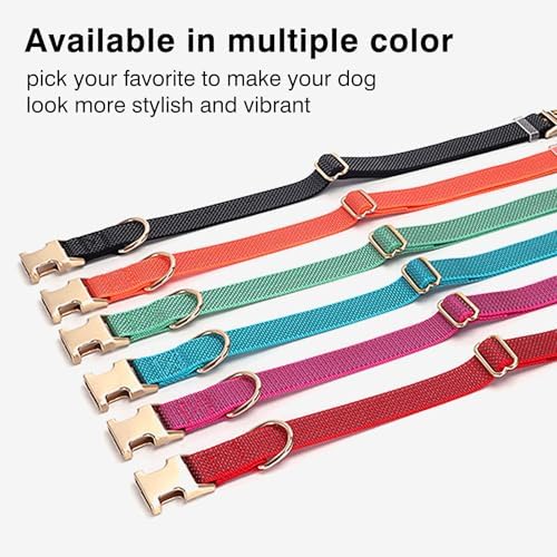 Personalized Reflective Nylon Dog Collar with Name, Red