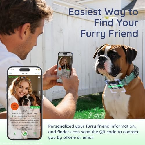 Reflective Dog Collar with AirTag Holder, Waterproof Dog Collar with QR Code, Heavy Duty Adjustable Pet Collar for Small Medium Large Dogs, Teal