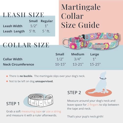 Lucky Love Dog Martingale Collar & Leash Set No Slip Cute – Heywood, Large