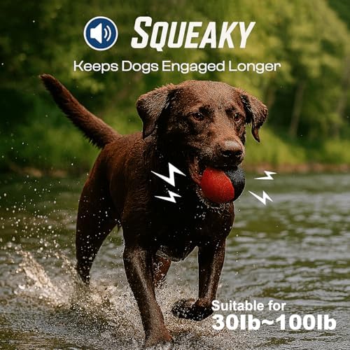 Squeaky Dog Toy – Durable Rubber Dog Ball for Medium & Large Dogs, Tough Interactive Fetch Toy for Chewers, Outdoor Training & Play Ball, Floating Water Play Gift.Red Black