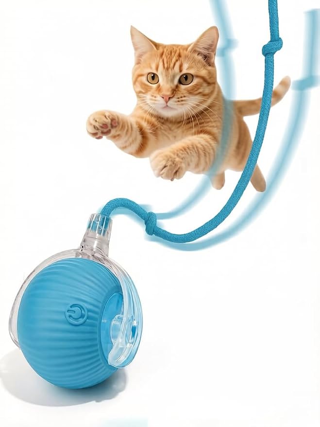 Interactive Dog Cat Toy Ball, Upgraded Rechargable Smart Automatic Rolling Pet Ball with Tail, Fast Moving Toy for Bored Indoor Kitty Puppy- Blue