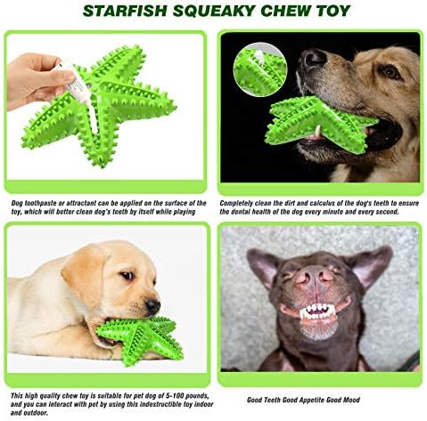 Squeaky Dog Toys - Starfish Natural Teeth Cleaning Toy for Small & Medium Dogs (Green)