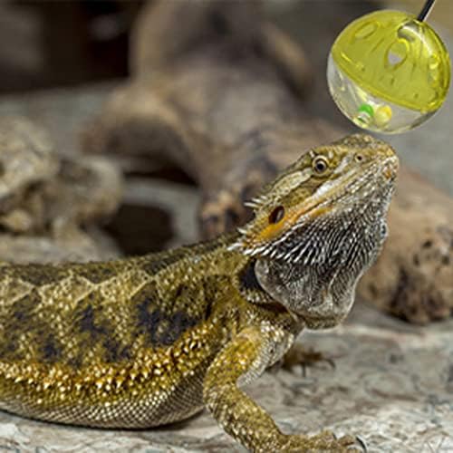 6 Pack Bearded Dragon Toys Balls Bell,Bearded Dragon Accessories,Fit for Lizard Small Reptile Habitat Terrarium Tank
