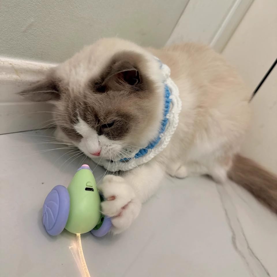 Interactive Cat Toy, USB Rechargeable Rolling Mouse with LED, Automatic Motion-Activated Chase Toy, Quiet Indoor Exercise for Cats & Kittens