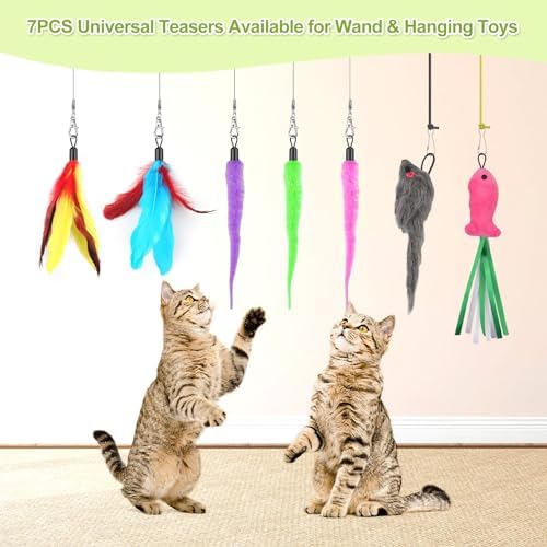 ChicWow Interactive Retractable Cat Wand & Hanging Toys for Cats - 2 Wands, 2 Hanging, 7 Teaser Cat Toys for Indoor Adult Cats Kitten, Includes Feather, Mouse, Fish, Worm, 1 Spare Elastic Rope