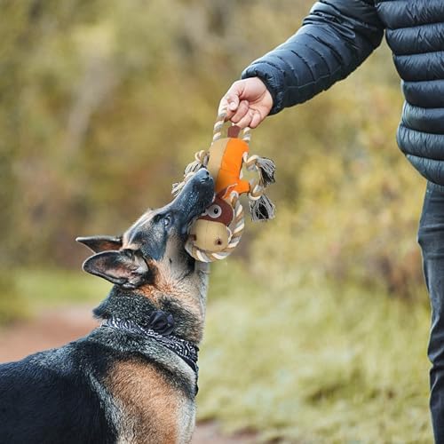 IOKHEIRA Dog Toys for Aggressive Chewers,Tough Indestructible Dog Toys,Squeaky Toys for Large Dogs, Chew Toys for Puppy Middle Big Pets-Donkey, Orange