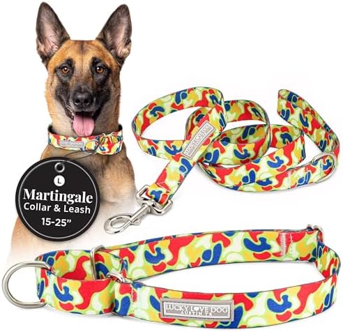 Lucky Love Dog Martingale Collar & Leash Set No Slip Cute – Oscar, Large