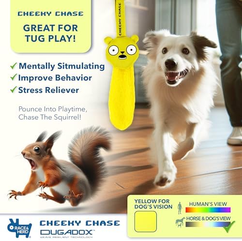 Race&Herd Cheeky Chase Flirt Pole for Dogs Heavy Duty - Catch Rod for Pet Fishing Toy, Tug of War Dog Toy for Aggressive Chewers, Dog Rope Toys for Medium Dogs