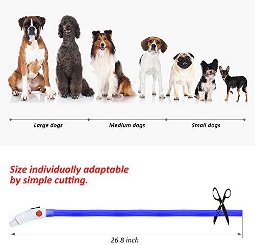 BSEEN Light Up Dog Collar, Cuttable LED Dog Collar Rechargeable Puppy Collar Glowing Safety Dog Walking Lights for Small Medium Large Dogs (Blue)